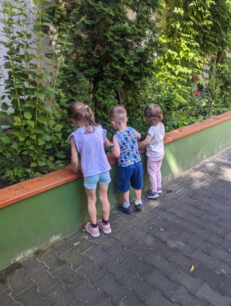 1 (4)