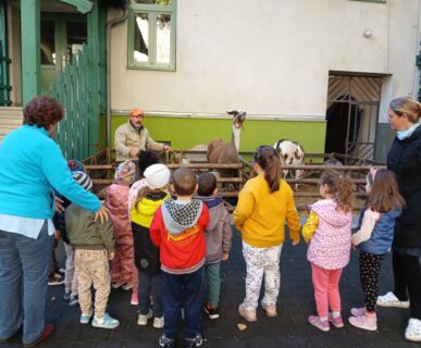 Állatok világnapja (7)