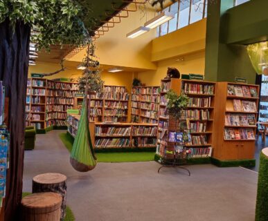 Könyvtár (6)