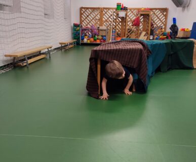 Medvenap (4)