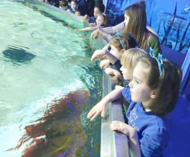 Tropicarium (1)