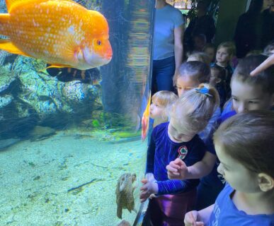 Tropicarium (10)