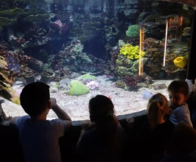 Tropicarium (11)