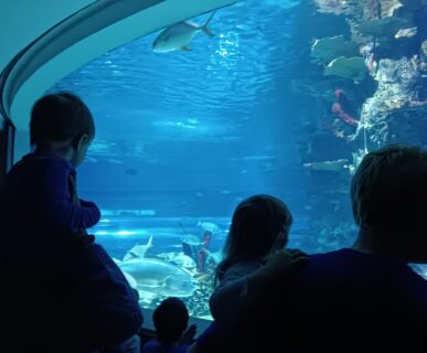 Tropicarium (14)
