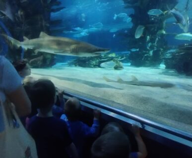 Tropicarium (17)