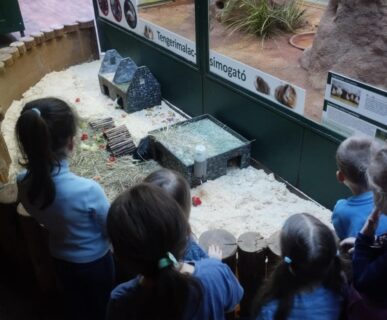 Tropicarium (18)
