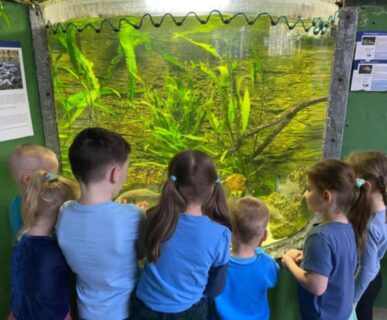 Tropicarium (19)