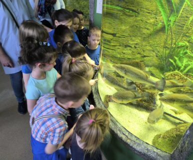 Tropicarium (4)