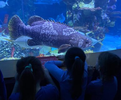 Tropicarium (5)