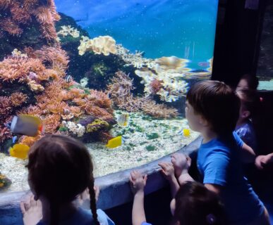 Tropicarium (6)