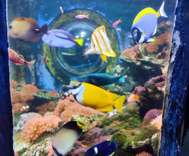 Tropicarium (7)