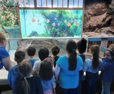 Tropicarium (8)