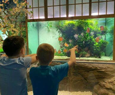 Tropicarium (9)