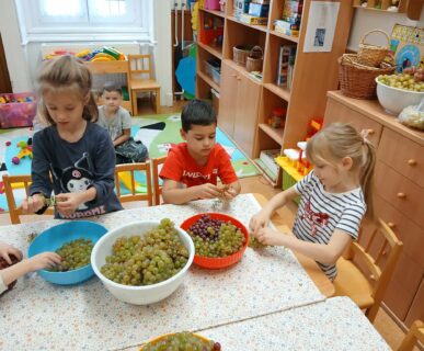 549612267_1593513484963313_8142135687724606338_n