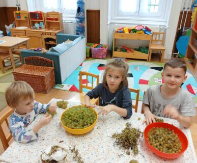 550862904_1136429521798584_6358965515827172777_n