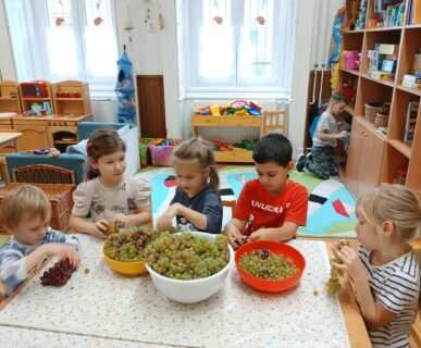 552653257_795664796686443_4572789656788649460_n