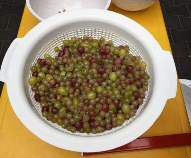 553343530_2095379541290318_1341930019181848984_n