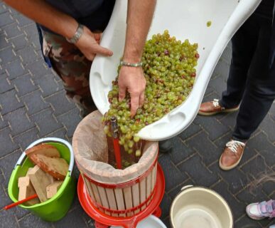 554176186_1277669920827629_6795339974190547101_n