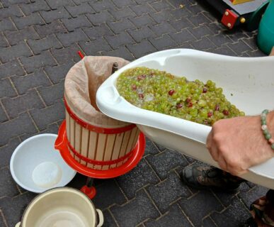 554321915_1724447141573369_5852080283839673523_n