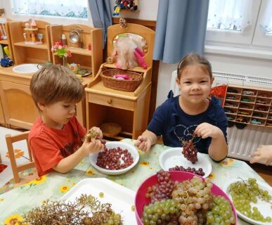 555159115_1165710568987247_219627115524810979_n