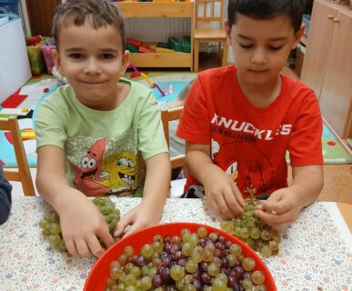 556118316_1356324306075301_7369808938523902679_n