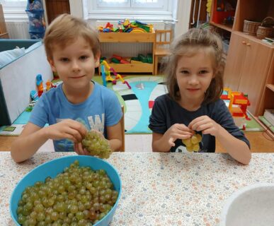 557662438_824800343854994_9146949815997567586_n