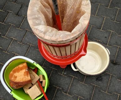 563864784_1352844613248007_7661157079259040951_n