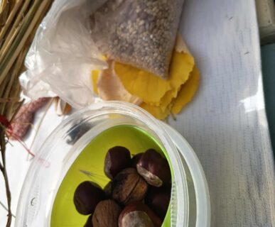 kepkonvertalo_hu_ingyenes_28ae2b18-146d-4135-a1f8-43c7baacb4aa