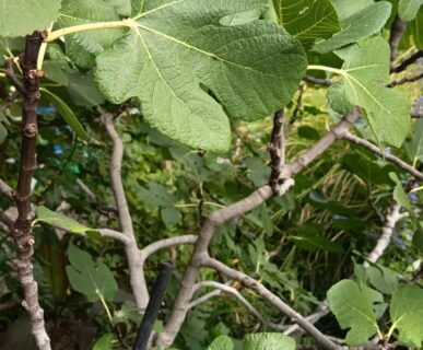 kepkonvertalo_hu_ingyenes_2d1afacd-e8dd-4965-b5c8-7f63765c6403