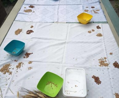 kepkonvertalo_hu_ingyenes_3c7db0c5-349b-4792-8f67-c0cbf9004305