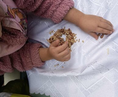 kepkonvertalo_hu_ingyenes_459fc937-f7c6-4f61-8bfb-e42d03124639