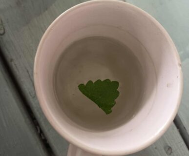 kepkonvertalo_hu_ingyenes_45f86f3e-6ac2-4e93-9956-8c2a1bcbe912