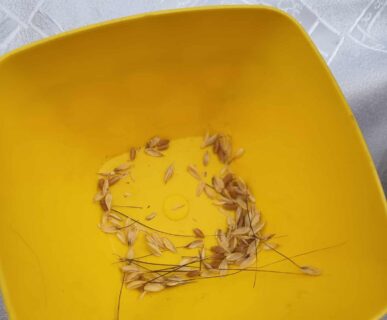 kepkonvertalo_hu_ingyenes_7d18c987-1db3-41f1-a18b-7e127cd502bd