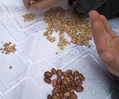 kepkonvertalo_hu_ingyenes_7ee1a2a1-420a-48aa-b18c-5a4f1a00a110