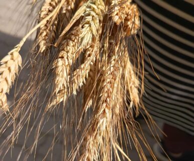 kepkonvertalo_hu_ingyenes_fc7b9f2d-ba70-4b17-b8cd-cb41d439de26