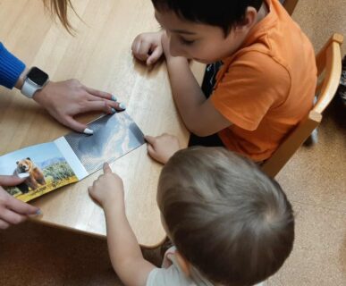 15d2ce9a-85fe-4abe-ac22-8aad1c0950e8