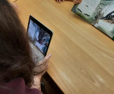 507c557f-0865-4a3f-8152-8c40aa5868a1