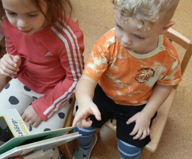 94b7139d-18c1-4481-ba3c-c7c1b72578af