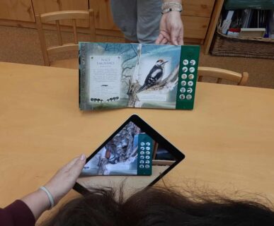 df904350-3254-4f72-94bc-230a569e20fa