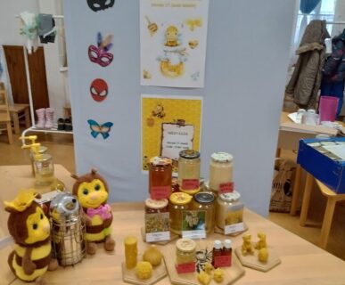 IMG_20260217_121901912_HDR