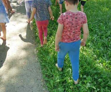 IMG_20260526_094403